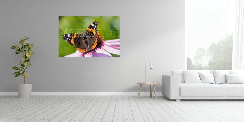 Ausgestreckt – Image 4