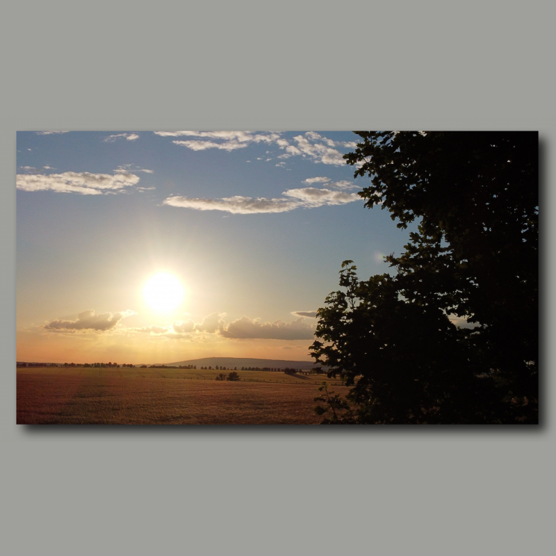 Sonne über dem Feld