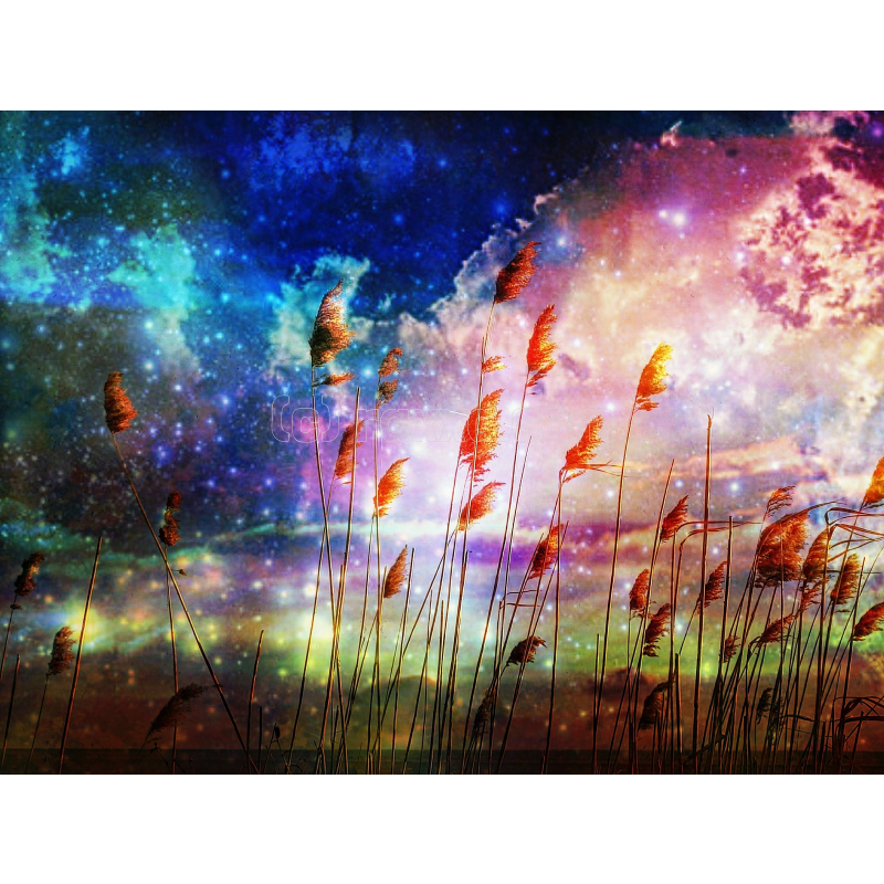 Echo of the Eye 72 - Imagen 2