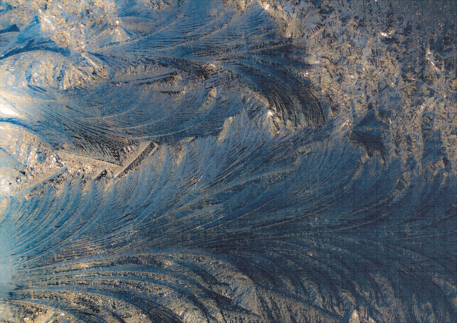 raxxa Premium-Puzzle: Eisblumen - immagine 2