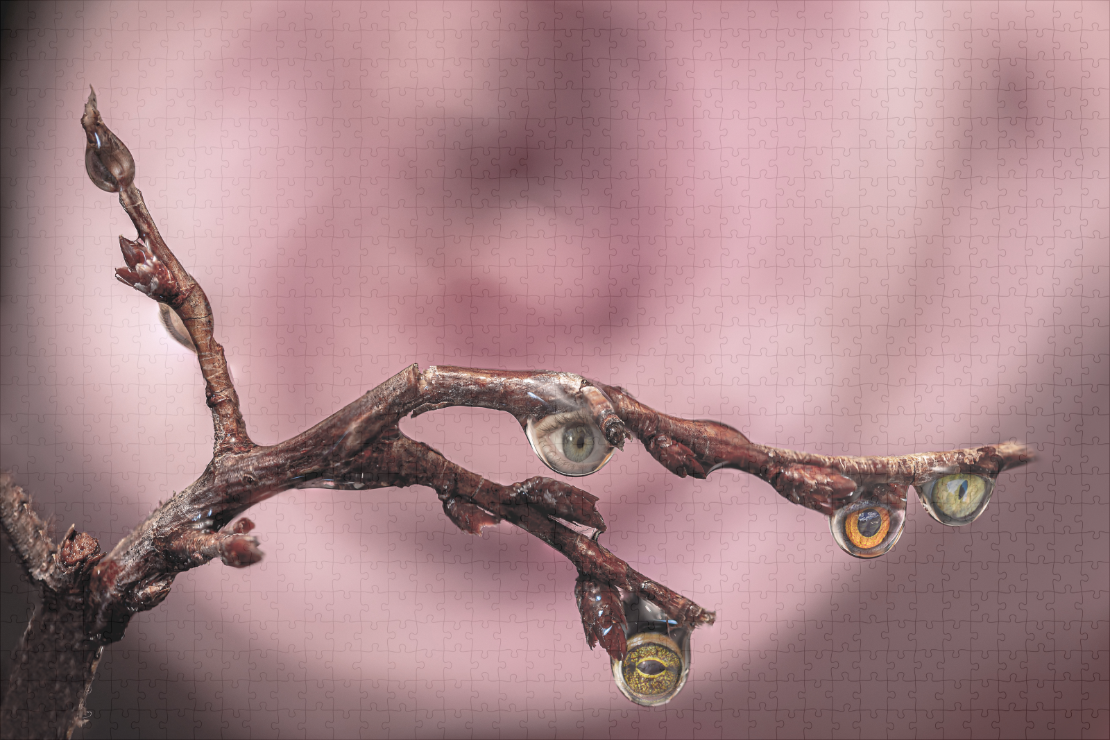 raxxa Premium-Puzzle: Fantasie – Bild 2