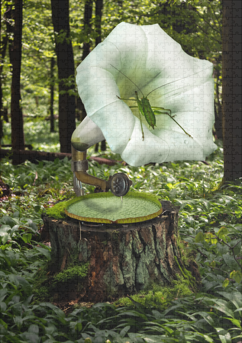 raxxa Premium-Puzzle: Sound of nature – Image 2