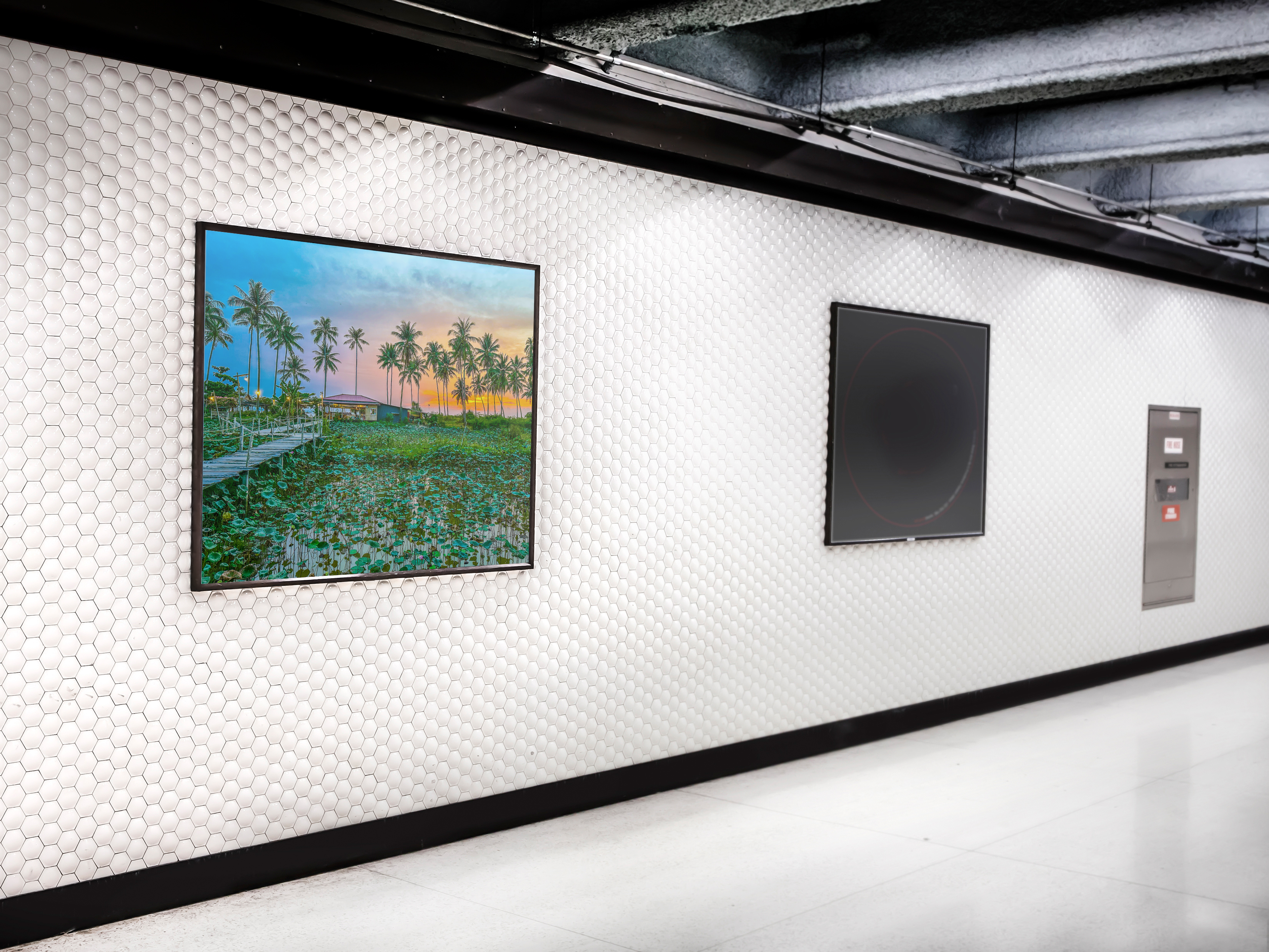 Poster: Sunset under Palm trees – Image 3