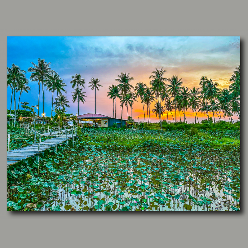 Poster: Sunset under Palm trees