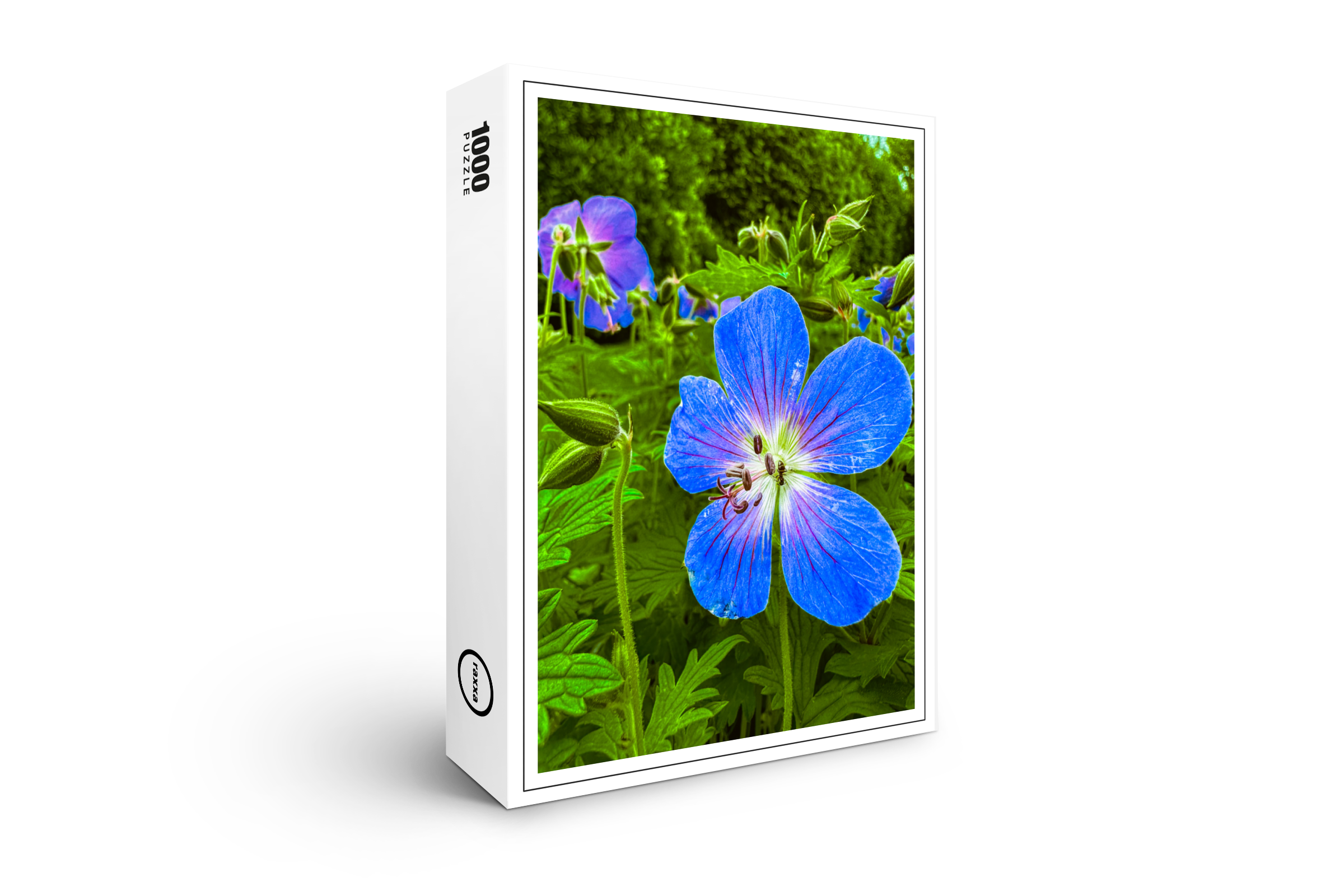 raxxa Premium-Puzzle: Blue petal