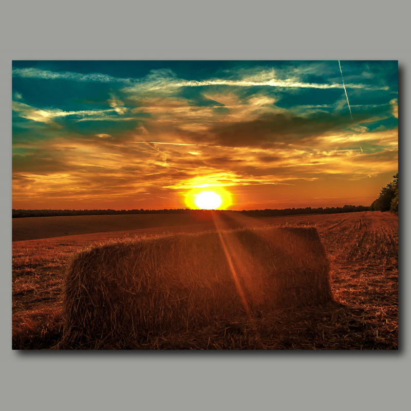 Poster: Sunset colors