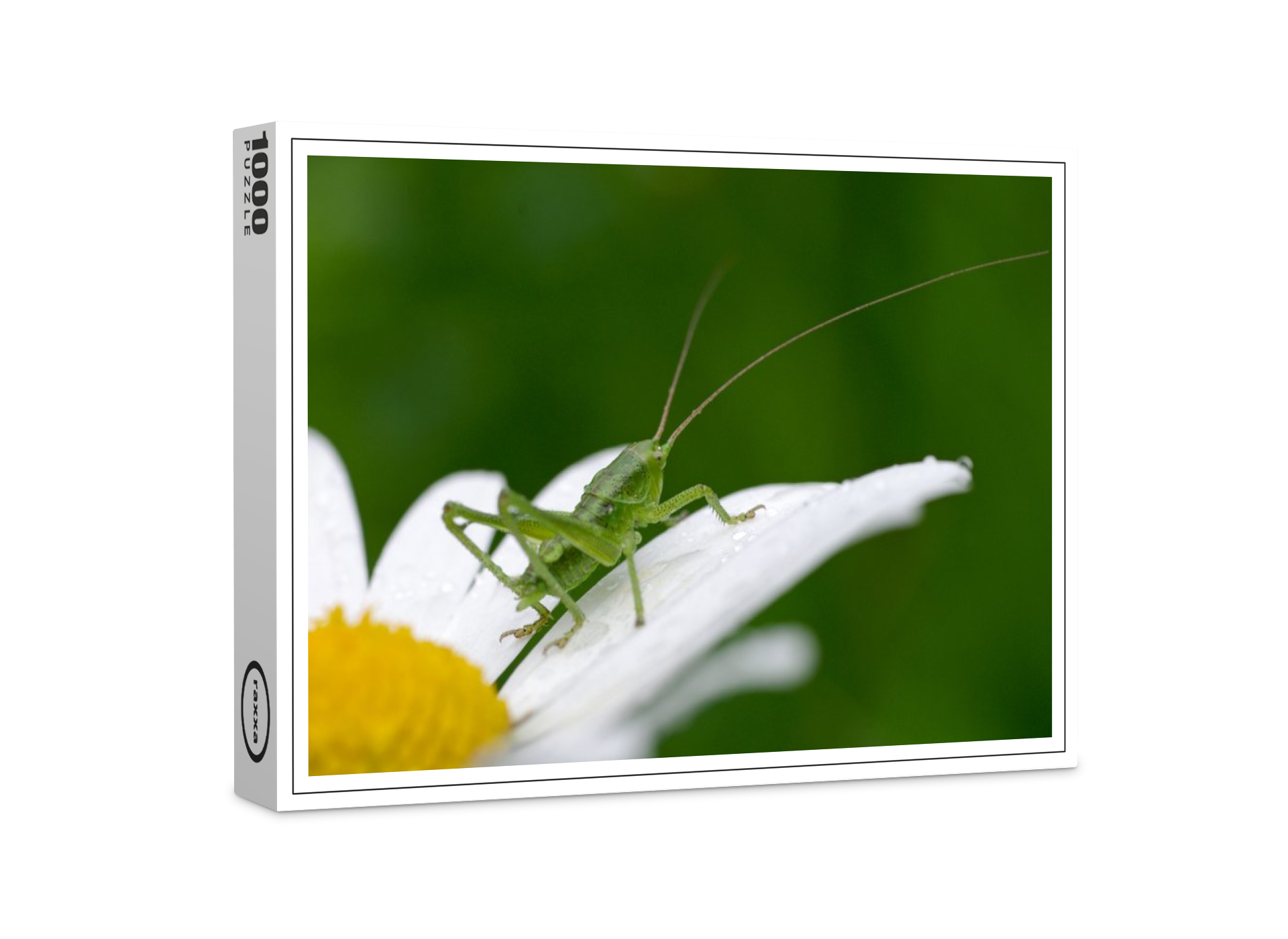 raxxa Premium-Puzzle: Grashüpfer