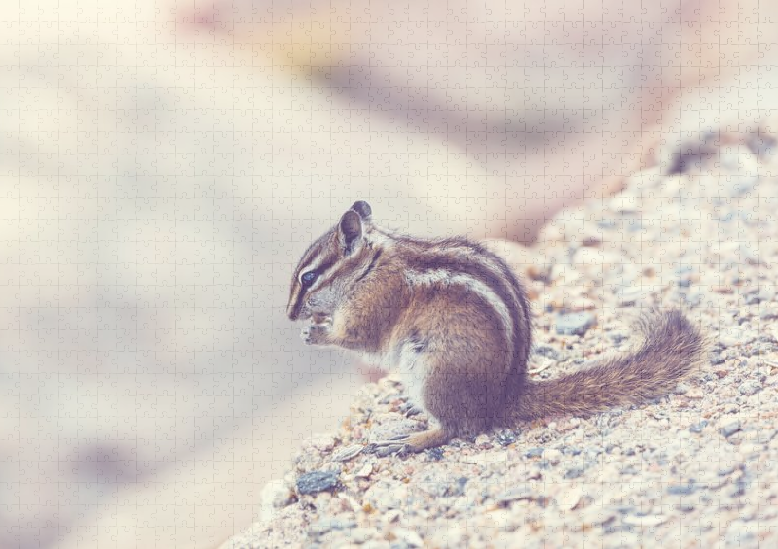 raxxa Premium-Puzzle: Streifenhörnchen – Image 2