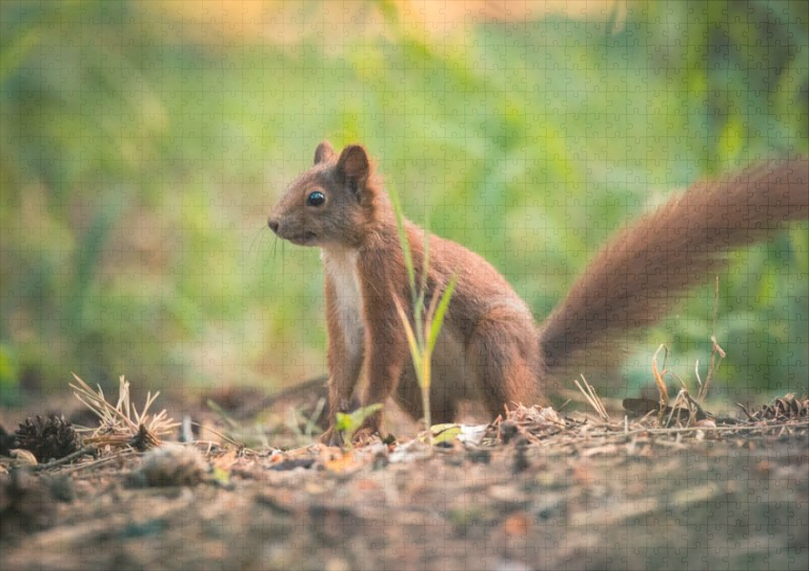 raxxa Premium-Puzzle: Herbst Hörnchen – Image 2