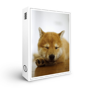 raxxa Premium-Puzzle: Schau mich nicht so an