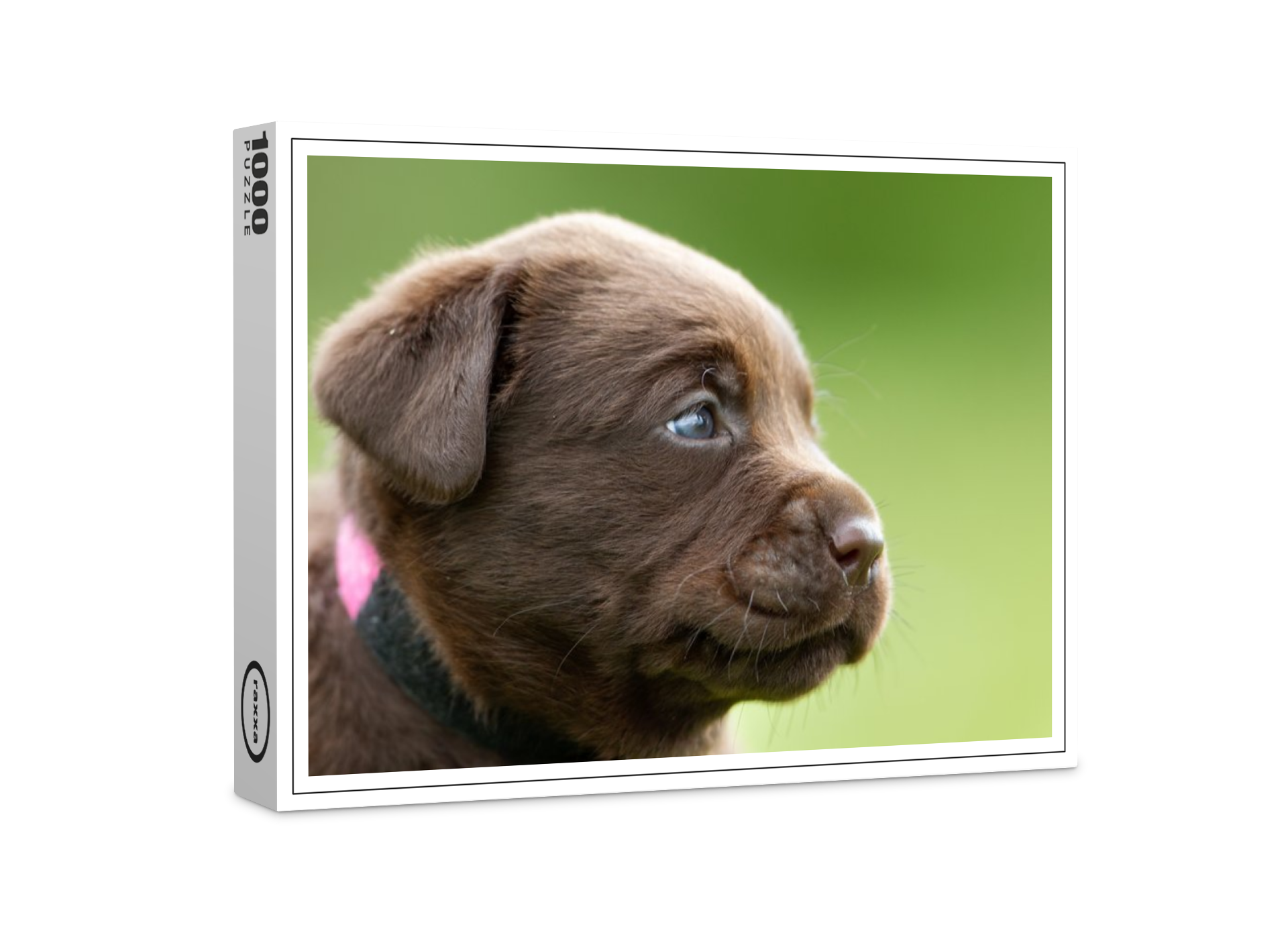 raxxa Premium-Puzzle: Nimm mich mit