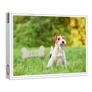 raxxa Premium-Puzzle: Foxterrier
