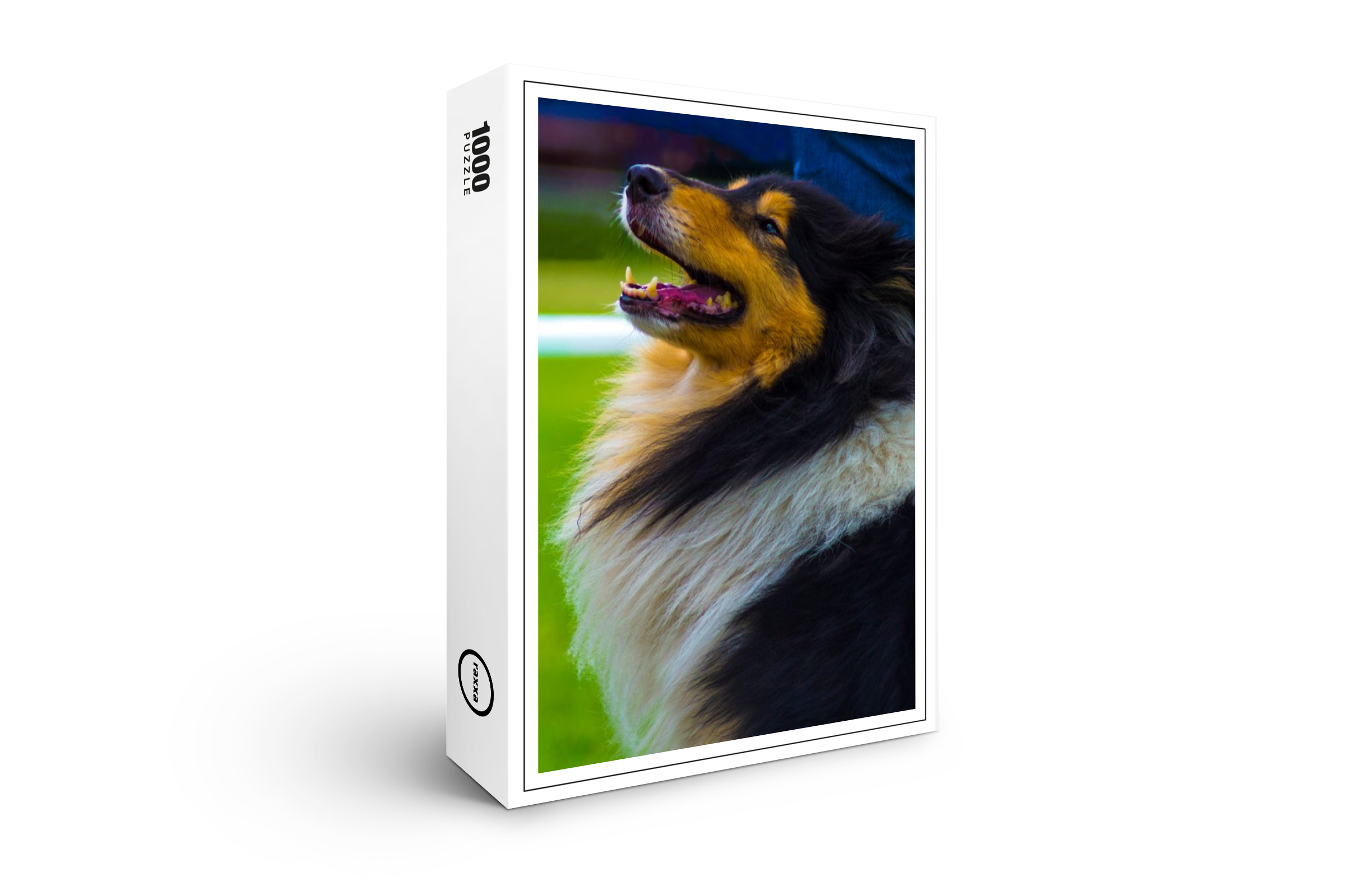 raxxa Premium-Puzzle: Collie