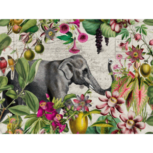 raxxa Premium-Tischset: Elephants Tropical Paradise