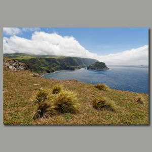 Poster: Am westlichen Ende Europas