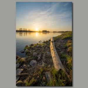 Poster: Sonnenuntergang in Dresden