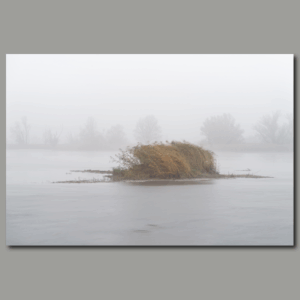 Poster: Nebelstimmung in Morgentau