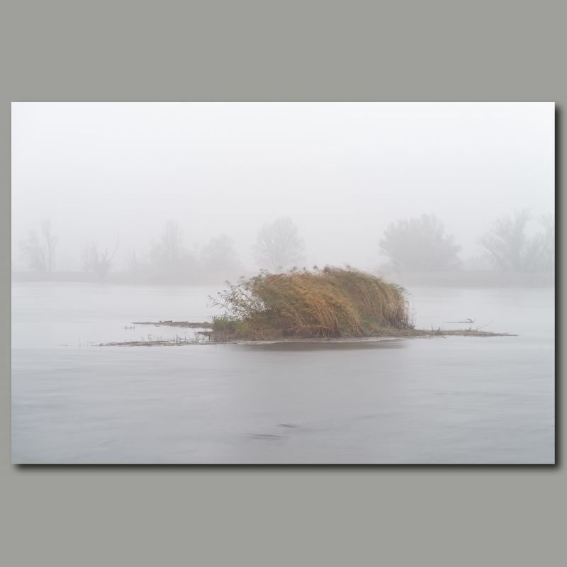 Poster: Nebelstimmung in Morgentau