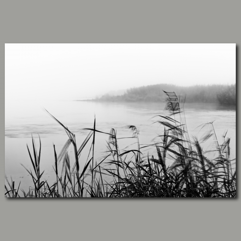 Poster: Nebelstimmung im Oderbruch