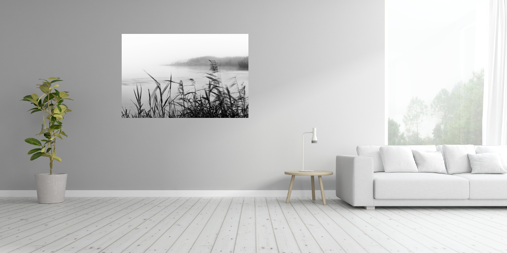 Poster: Nebelstimmung im Oderbruch – Bild 3