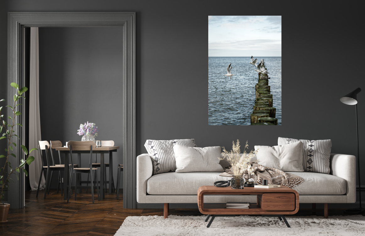 Poster: Möwen - Imagen 2