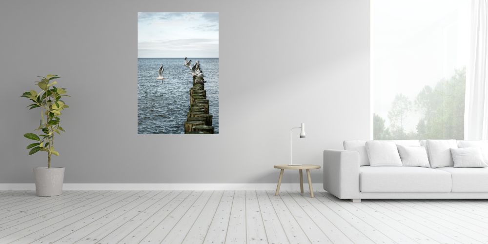 Poster: Möwen - Imagen 3