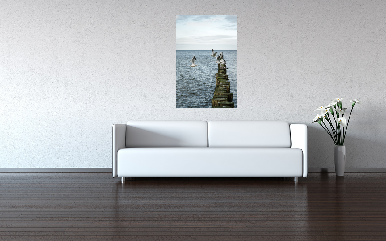 Poster: Möwen - Imagen 6