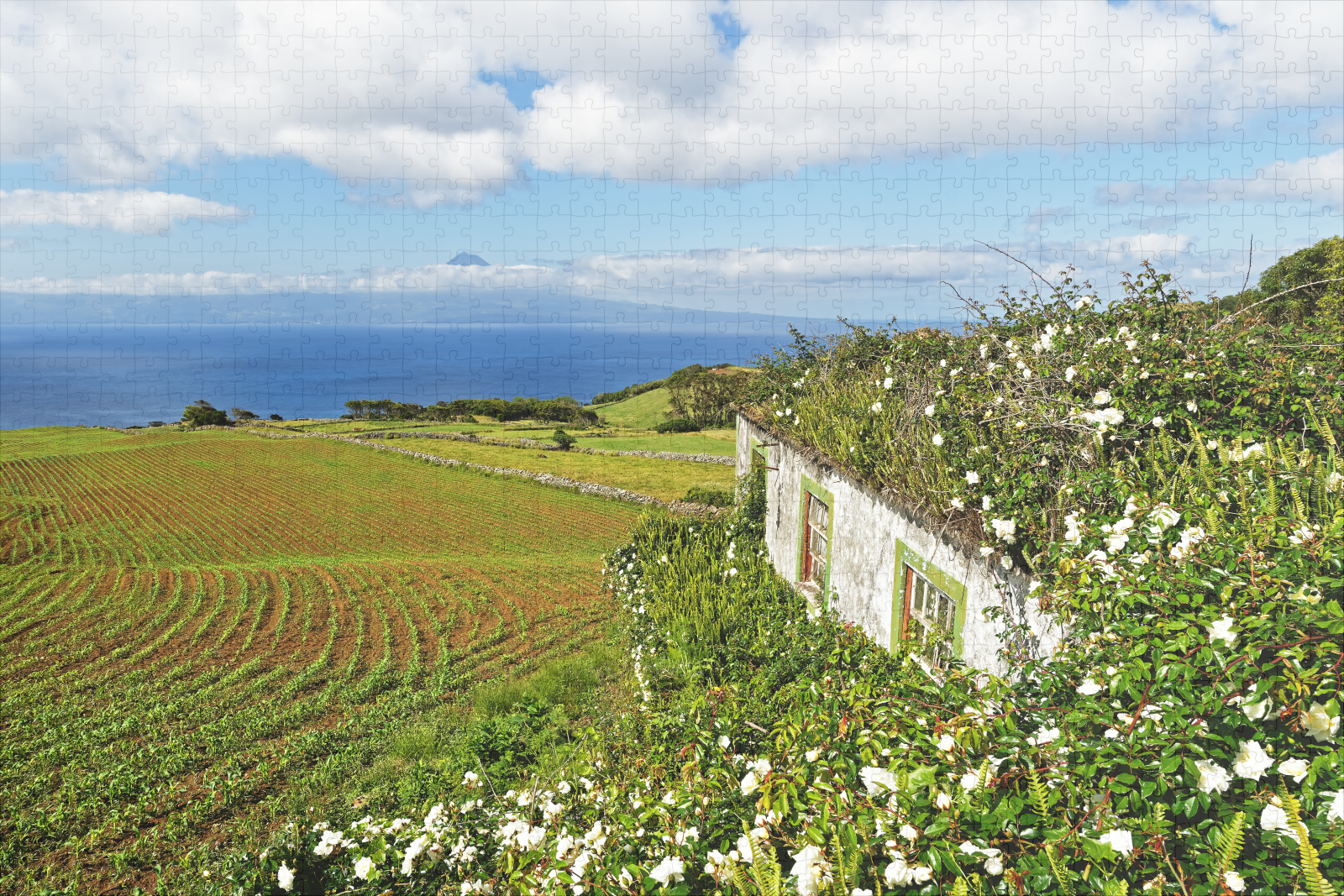 raxxa Premium-Puzzle: Azoren - Haus mit Blumen und Inselblick - Image 2