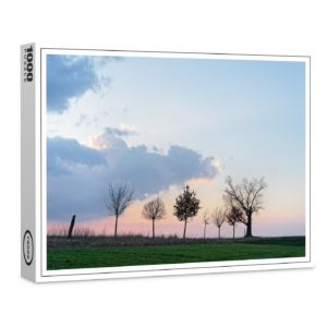 raxxa Premium-Puzzle: Baumreihe mit markanter Wolkenformation im Abendlicht