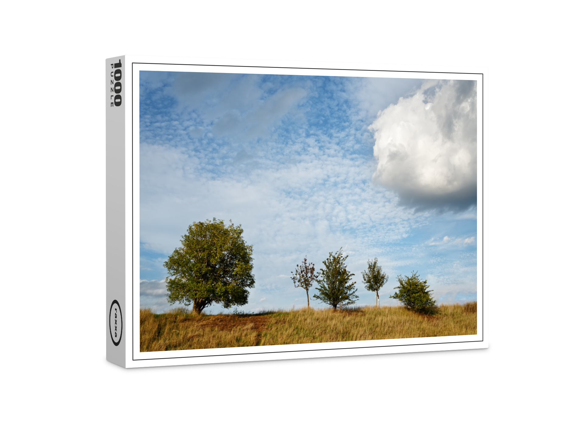 raxxa Premium-Puzzle: Fünf belaubte Bäume