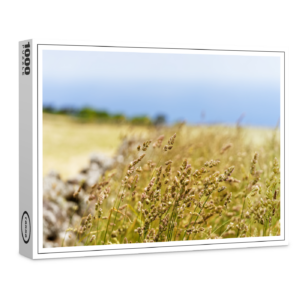 raxxa Premium-Puzzle: Grashalme am Wegesrand