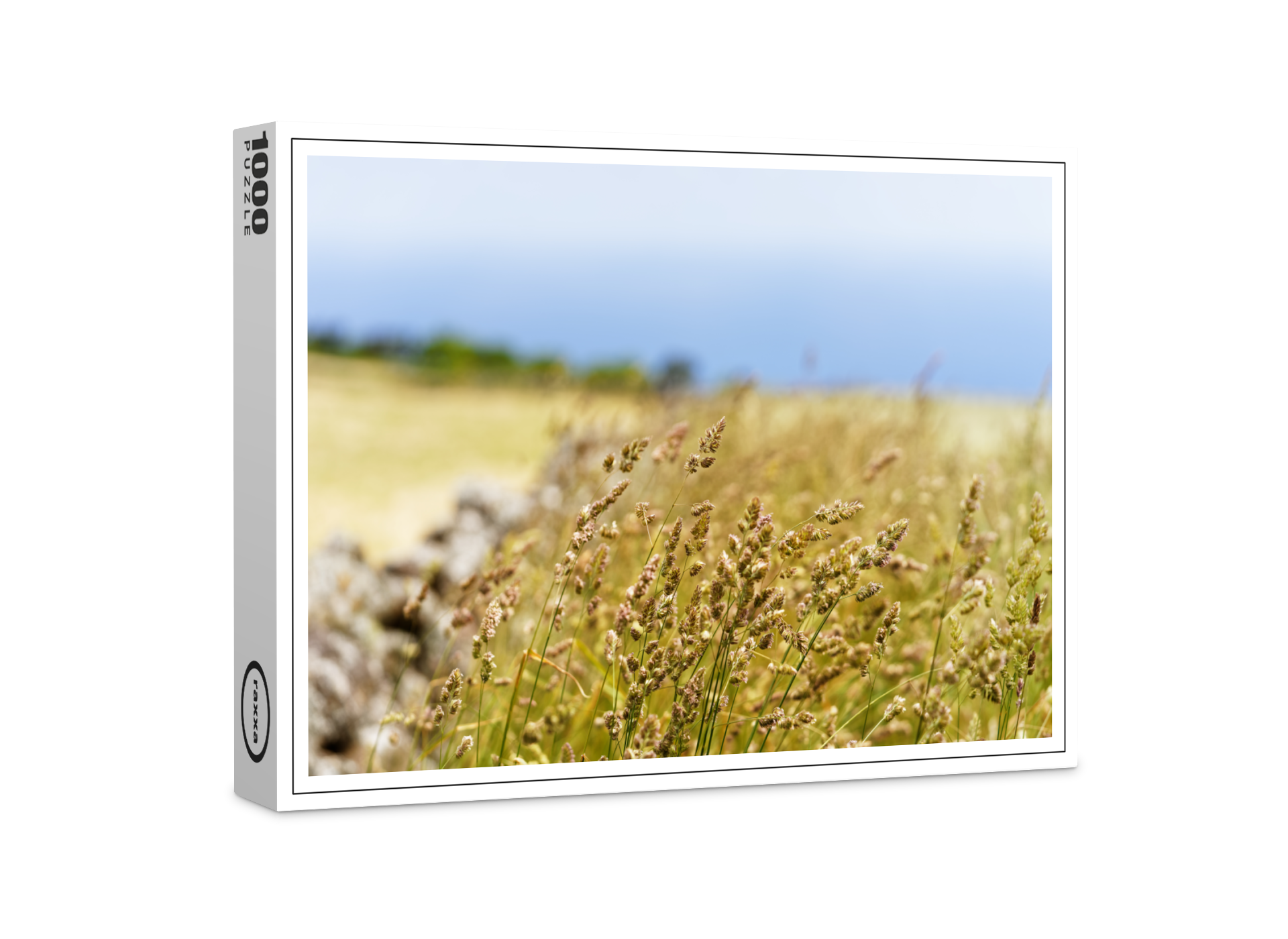 raxxa Premium-Puzzle: Grashalme am Wegesrand