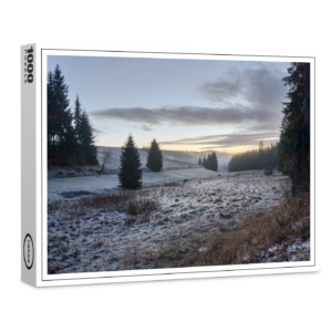 raxxa Premium-Puzzle: Vereiste Wiese im Abendlicht