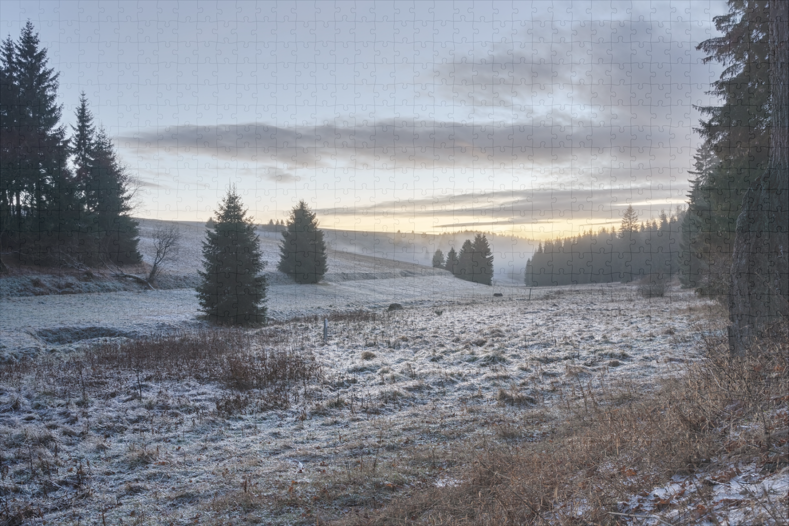 raxxa Premium-Puzzle: Vereiste Wiese im Abendlicht - Image 2