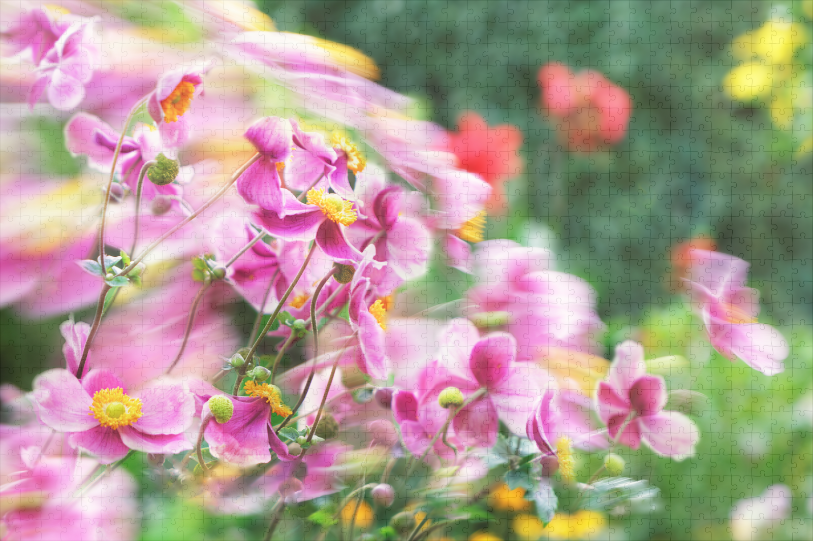 raxxa Premium-Puzzle: Vom Wind bewegtet Blüten - Image 2