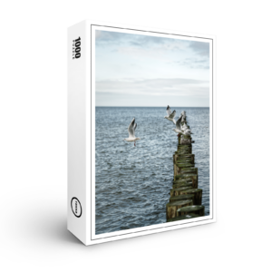 raxxa Premium-Puzzle: Möwen