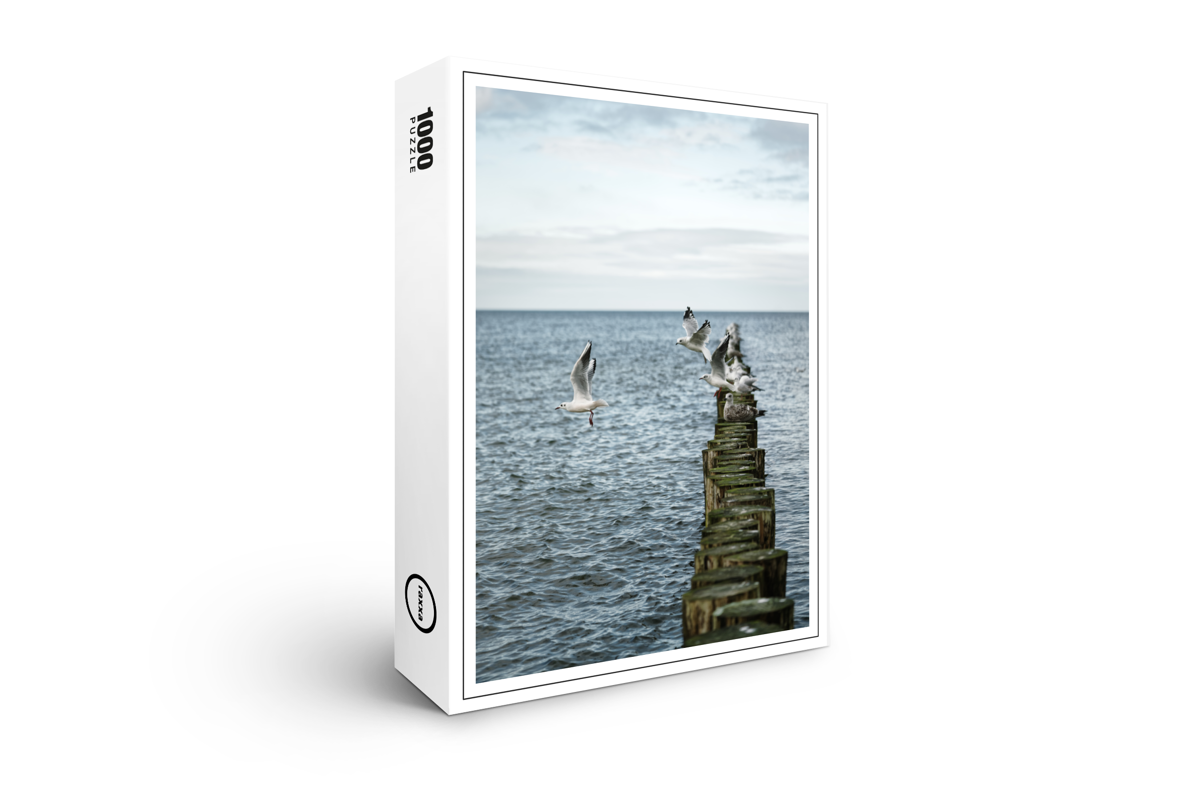 raxxa Premium-Puzzle: Möwen