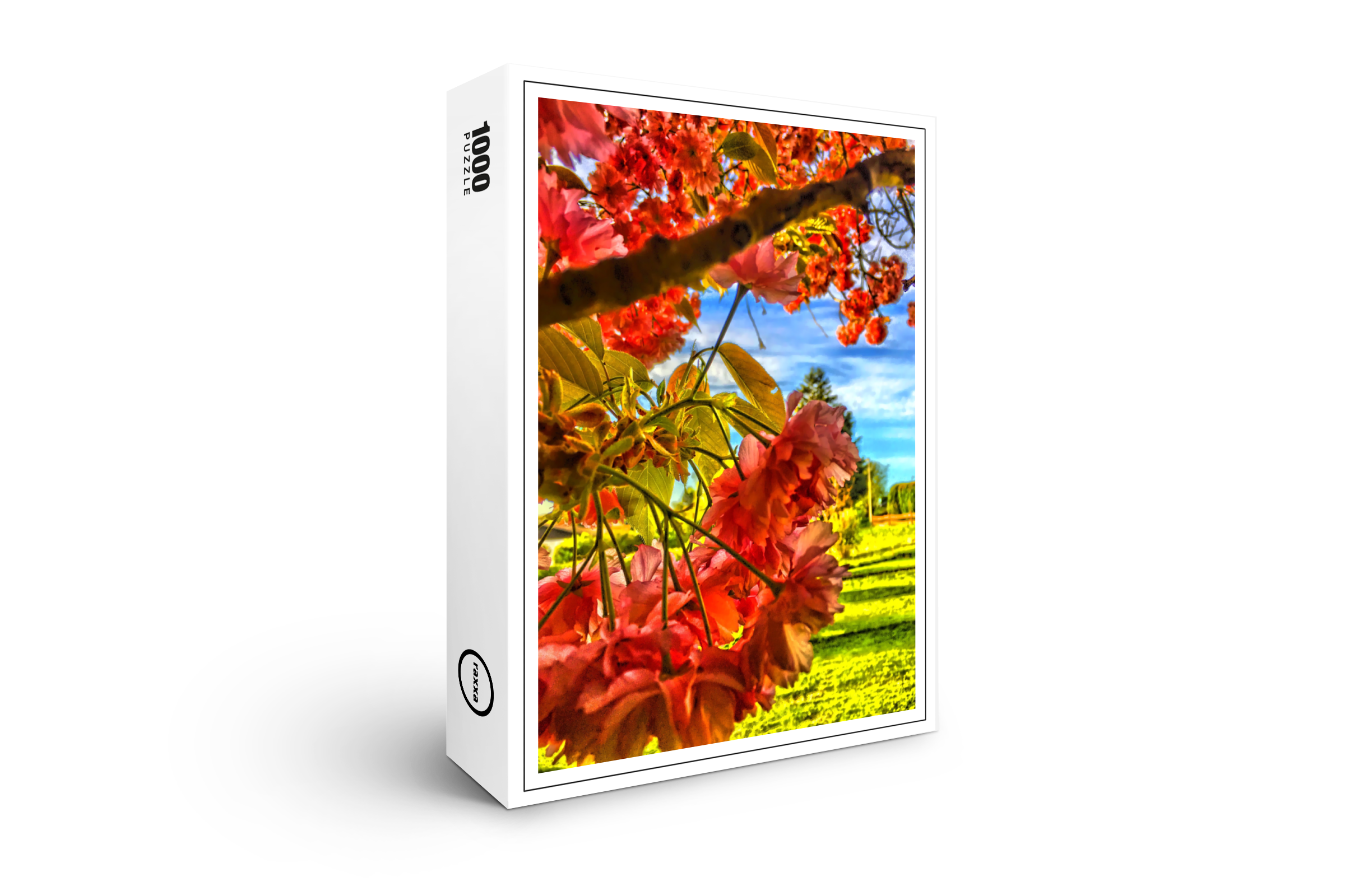 raxxa Premium-Puzzle: Kirschblüte