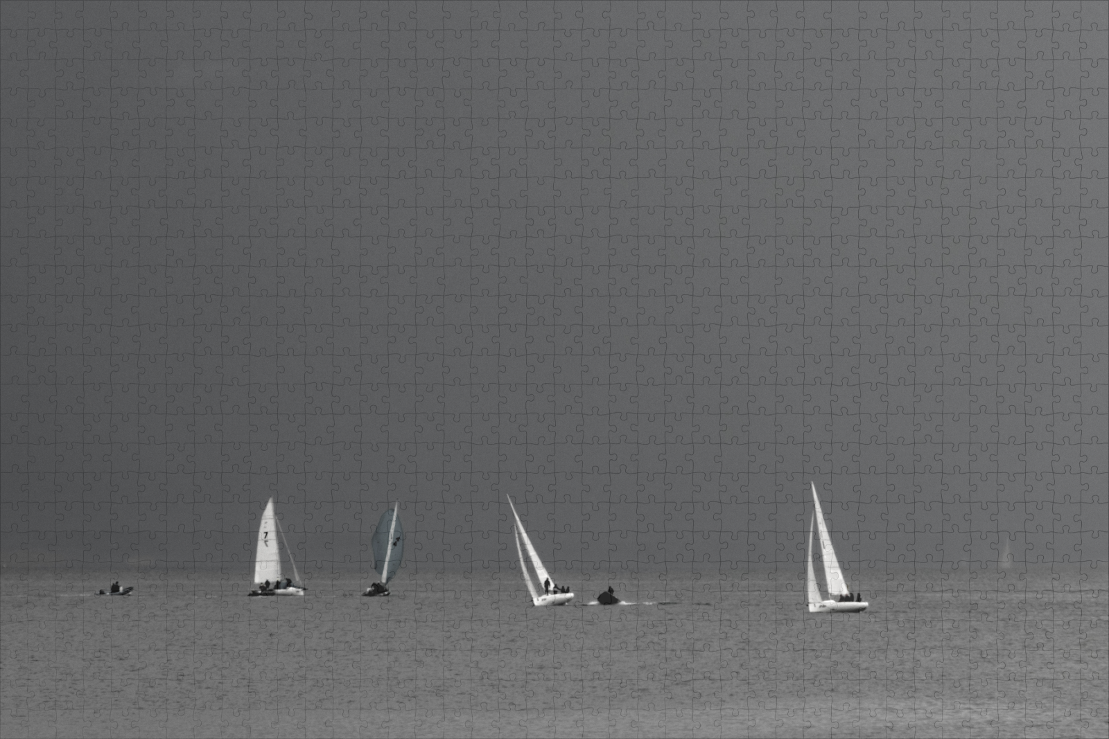 raxxa Premium-Puzzle: Segelschule – Bild 2