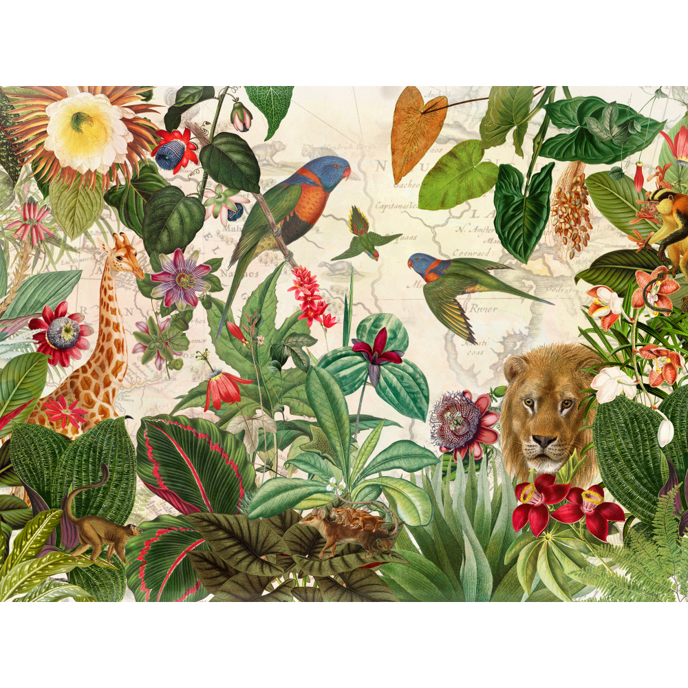 raxxa Premium-Tischset: Exotisches Dschungel Erlebnis – Bild 3