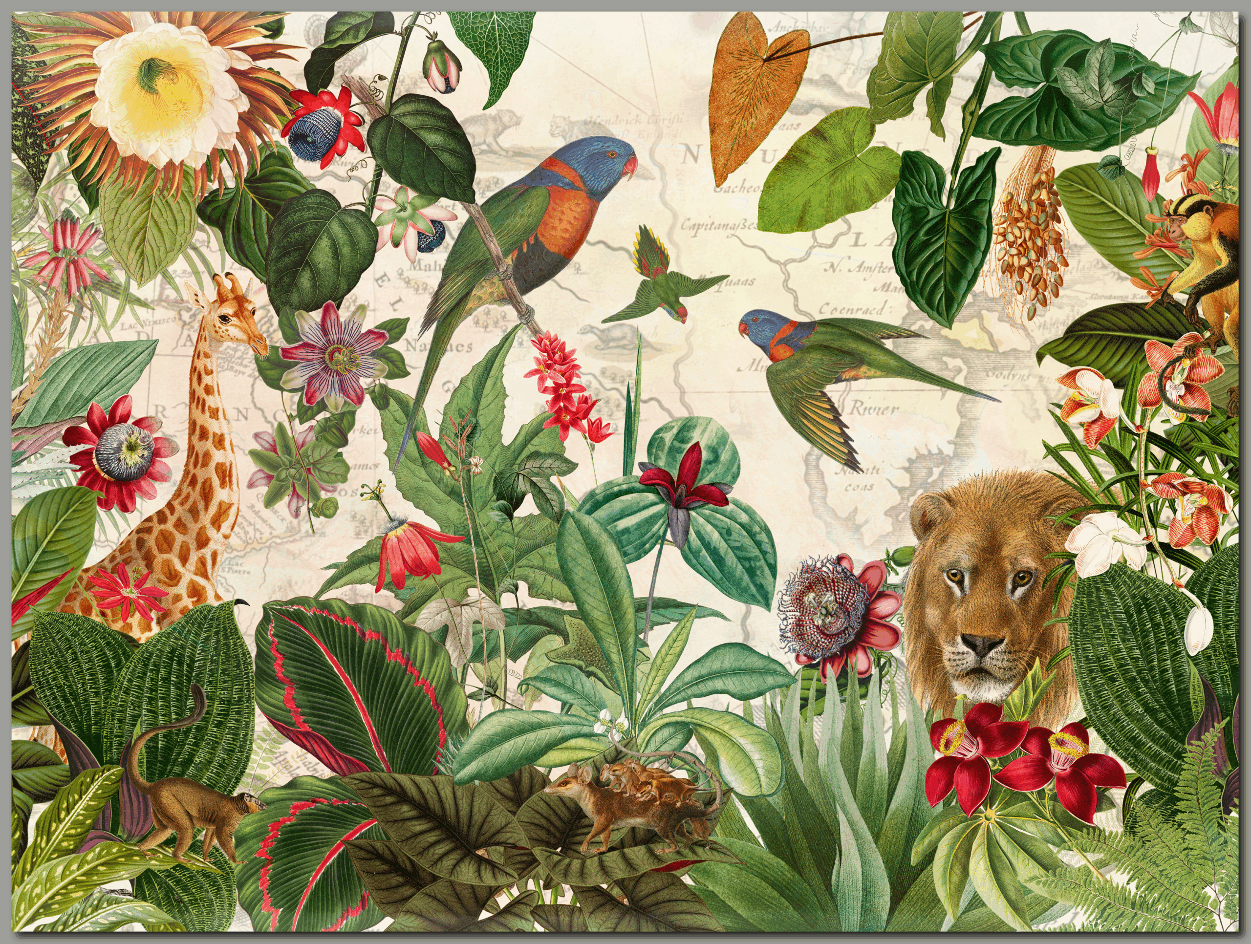 raxxa Premium-Tischset: Exotisches Dschungel Erlebnis – Bild 2