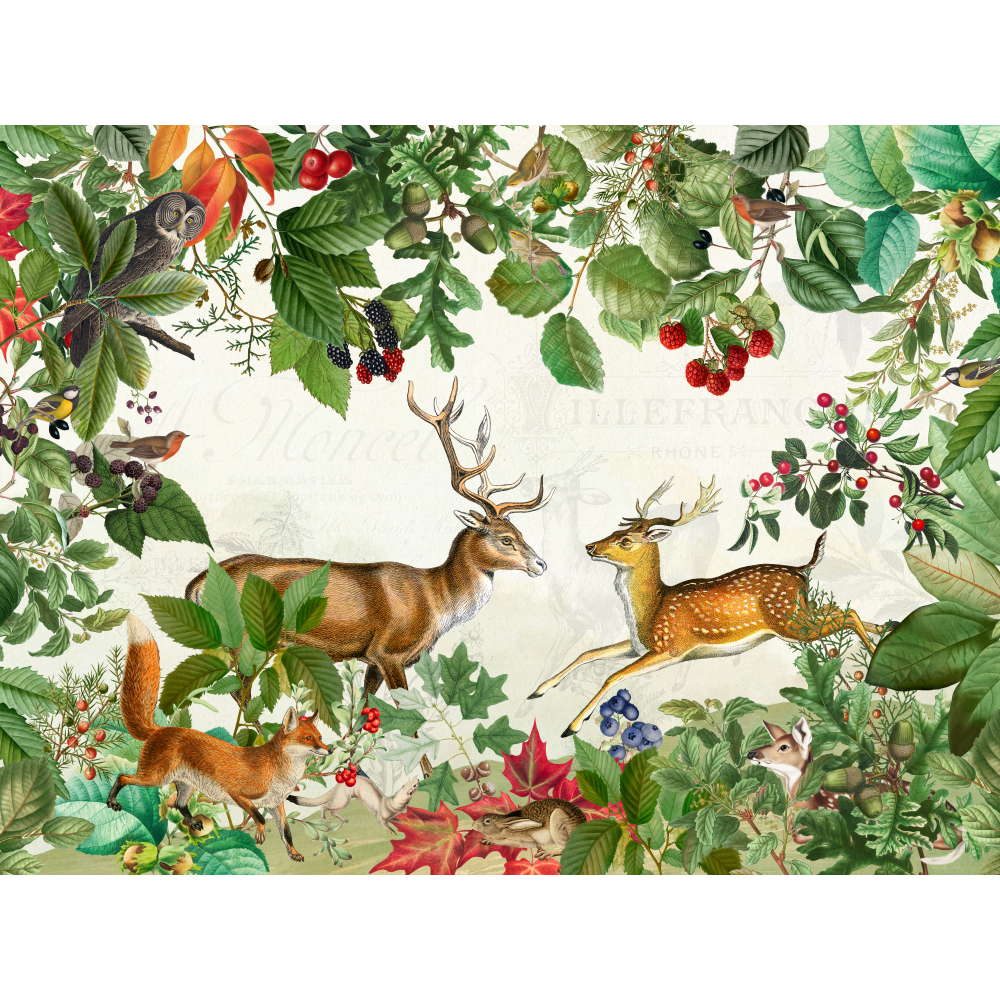 raxxa Premium-Tischset: Faszination des Waldes – Bild 4