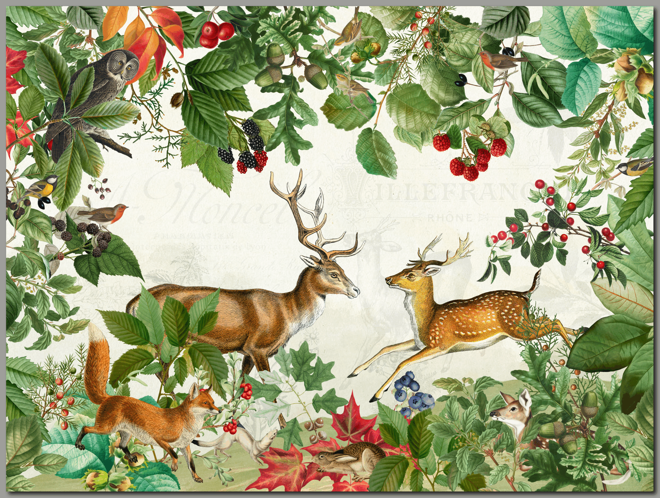 raxxa Premium-Tischset: Faszination des Waldes – Bild 2