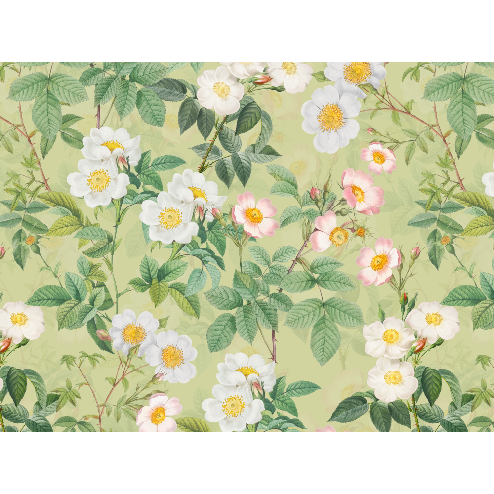 raxxa Premium-Tischset: Die Eleganz vergangener Rosen - Image 3