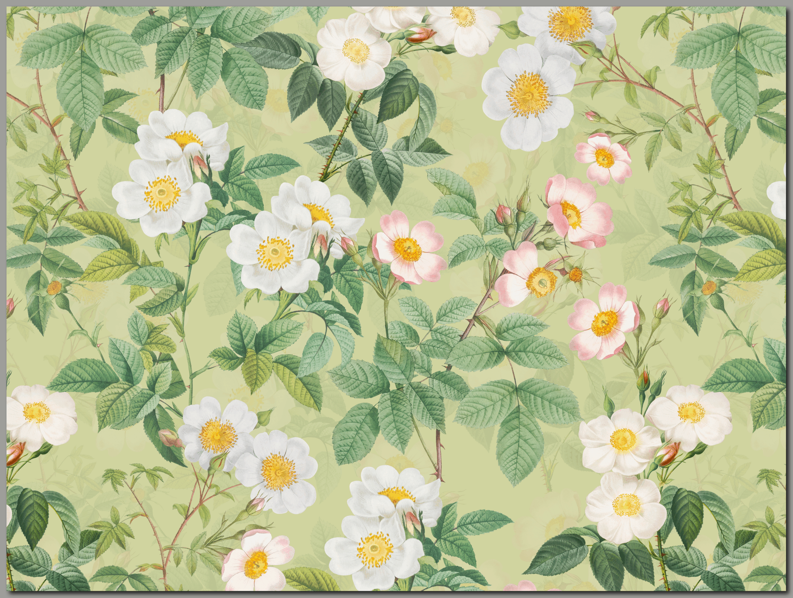 raxxa Premium-Tischset: Die Eleganz vergangener Rosen - Image 2