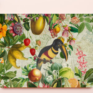 raxxa Premium-Tischset: Nostalgischer Tukan Dschungel