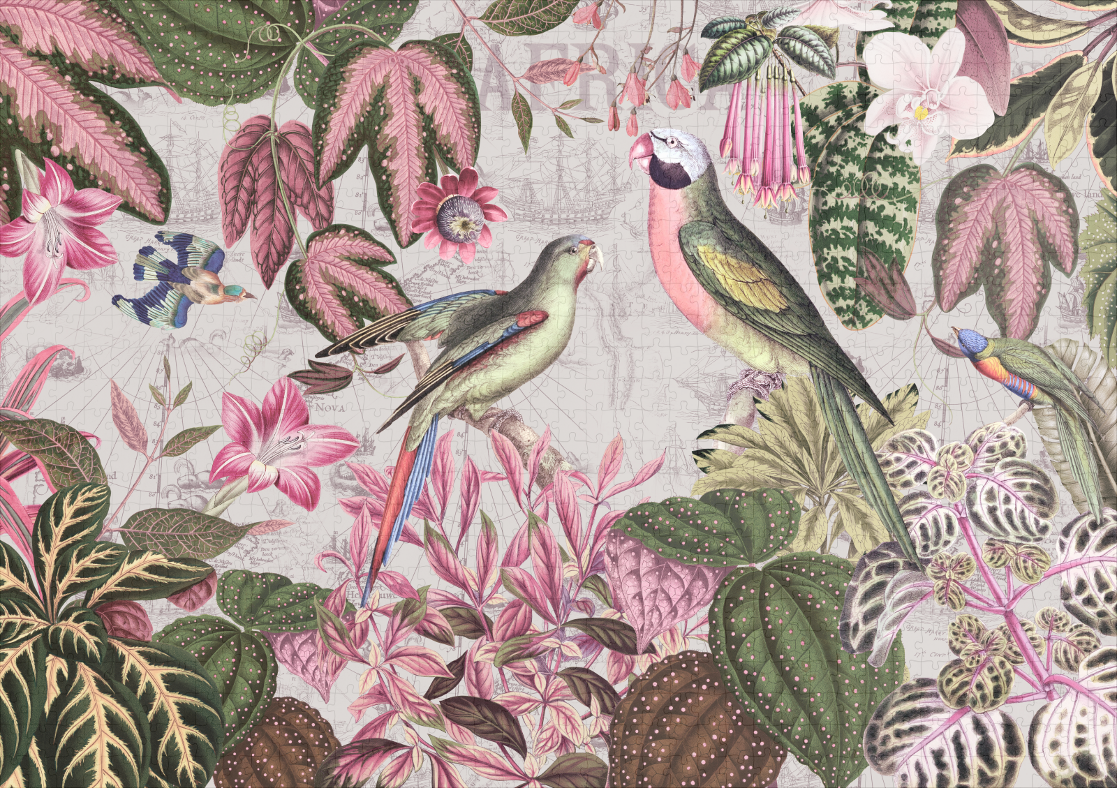 raxxa Premium-Puzzle: Tropische Papagein im Dschungel – Image 2