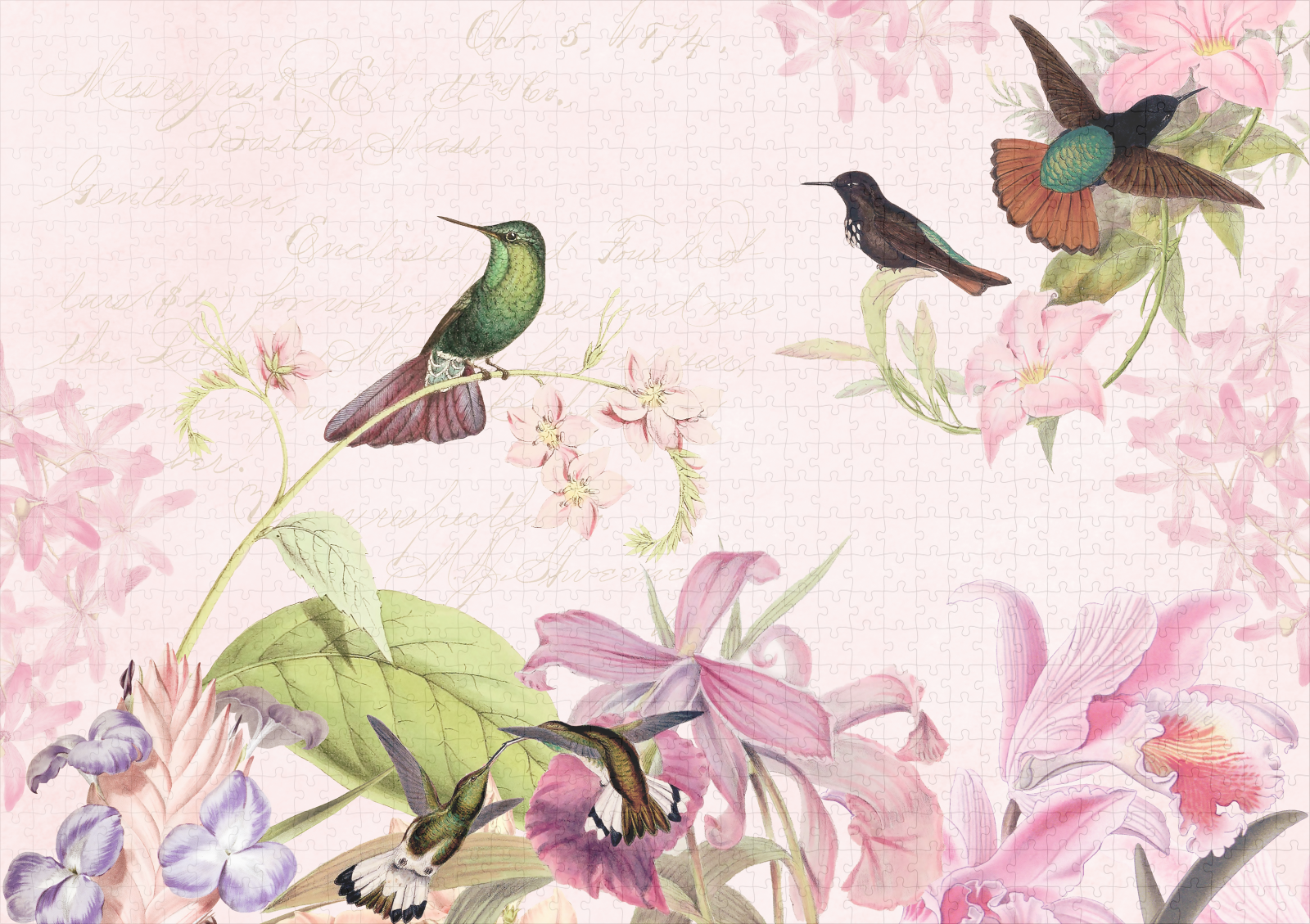 raxxa Premium-Puzzle: Romantische Kolibris und Blüten - Image 2