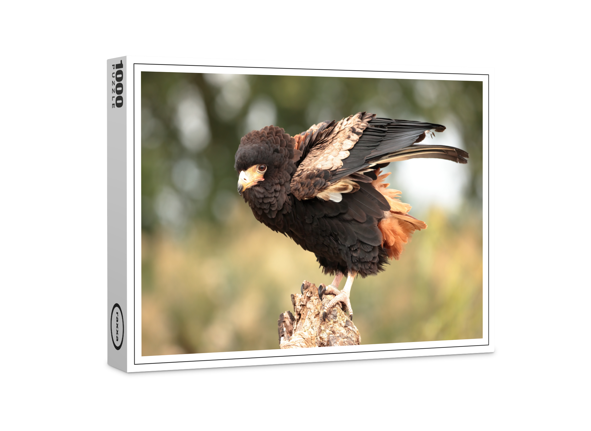 raxxa Premium-Puzzle: Gaukler