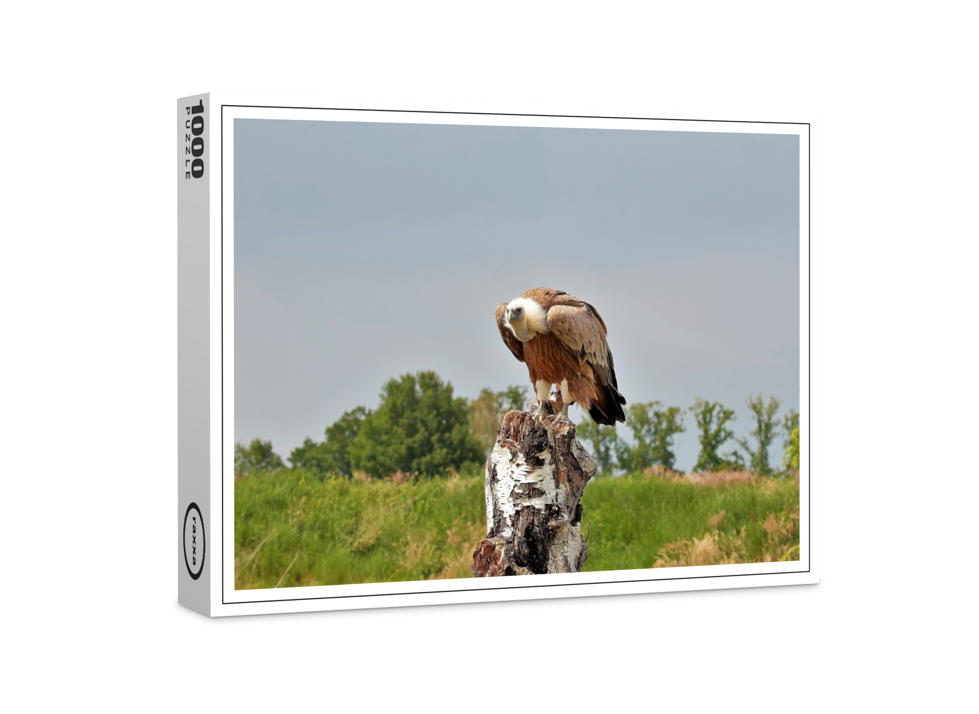 raxxa Premium-Puzzle: Gänsegeier